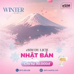 1769768979181.jpeg 1769768979181.jpeg