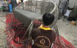 Sofa-gia-may-QD-672e.jpg Sofa-gia-may-QD-672e.jpg
