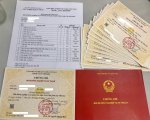 chứng chỉ tiếng Anh cấp tiểu học.jpg