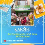 bpsvietnam-karofi.jpg bpsvietnam-karofi.jpg